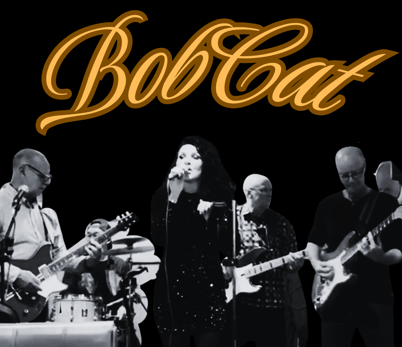 BobCat - Disco, Soul, Pop & Funk band event photo