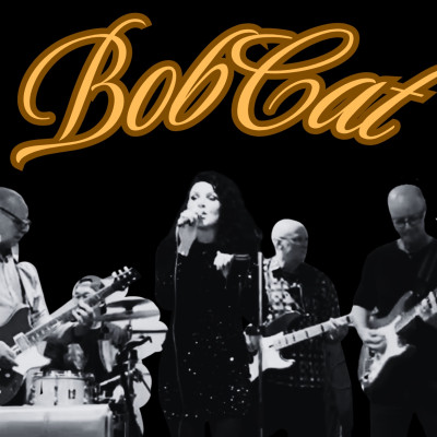BobCat - Disco, Soul, Pop & Funk band performing at Weavers Arms
