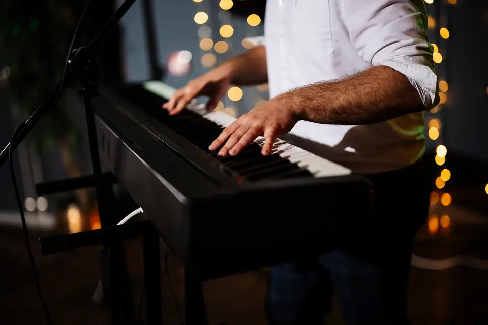 James Wood Musician event photo